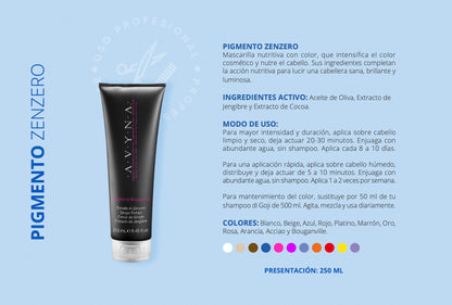 Pigmento Zenzero - Acciaio